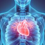 Cardiologia