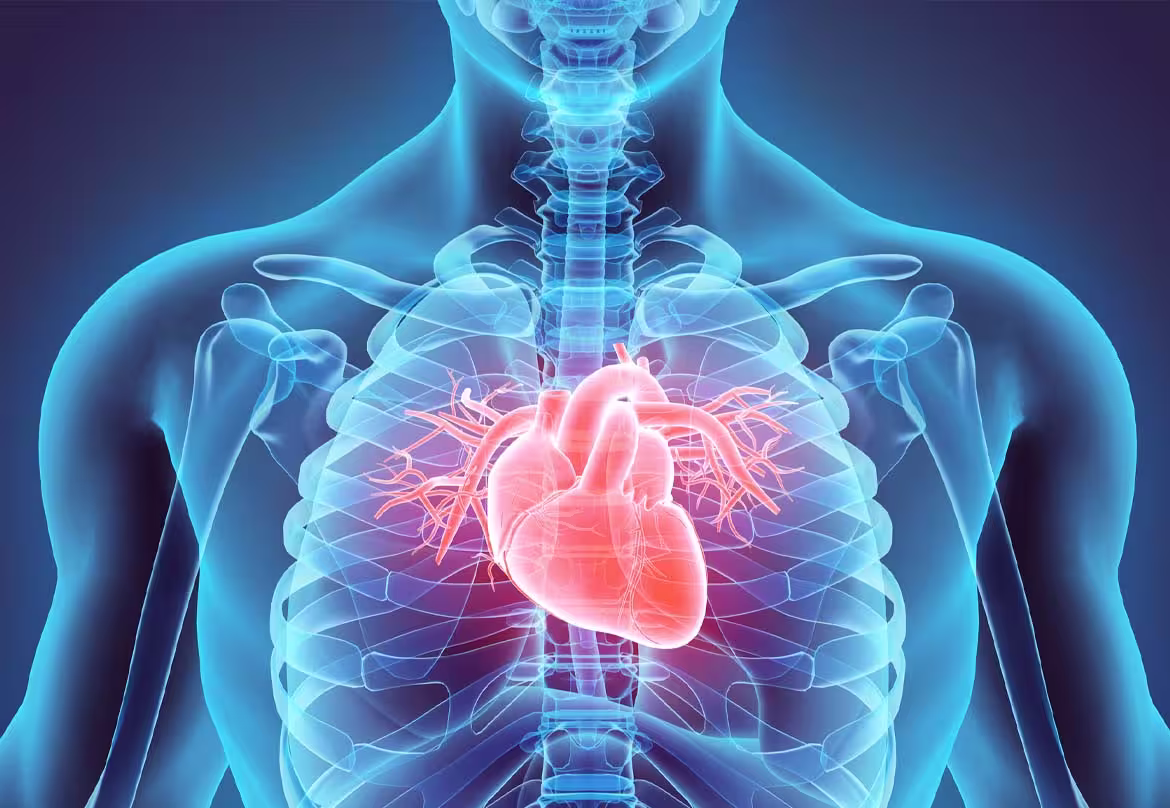 Cardiologia