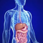 Gastroenterologia