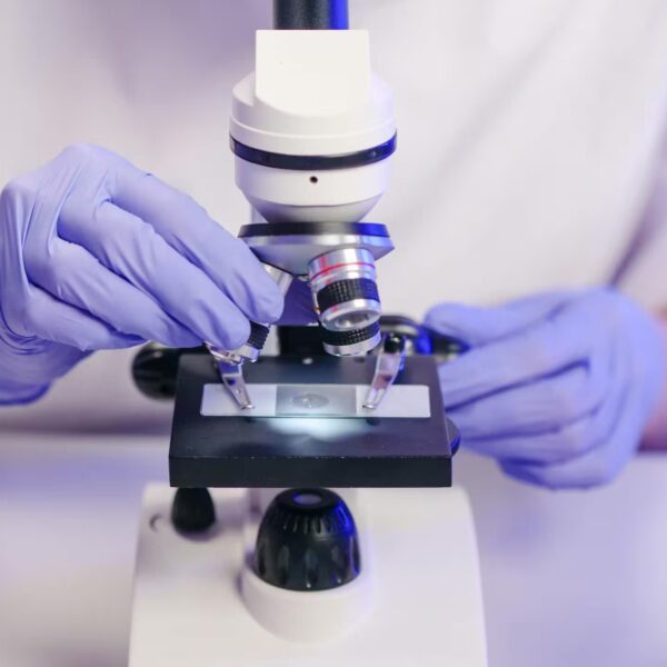 Immagine per Analisi cliniche e microbiologiche